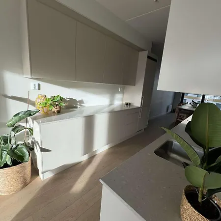 Luxury In Center Oslo