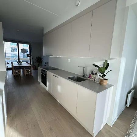 Luxury In Center Oslo