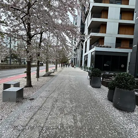 Daire Luxury In Center